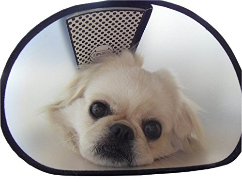 Treestar pour chien ou chat Elizabeth Collier Protège cou Empêche le chien Chaos Léchage Bite Coque de bain Coque 1 pcs