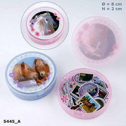 Horses Dreams Sticker Box