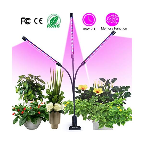 Spezial- & Stimmungsbeleuchtung | Immobilien, Möbel, Wohnen, Accessoires