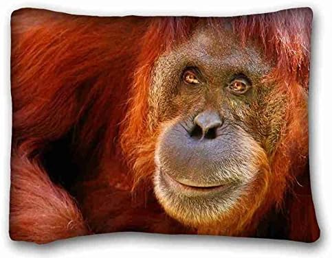 Custom Cotton &amp; Polyester Soft Animal Pillowcase Standard Size 20"X26" Design Pillow Case Cover suitable for Twin-bed