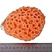Bath Shower Exfoliator Body/Face Washing Cleansing Pad Sponge Cosmetic Washing Puff (Orange)