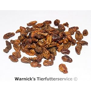 Seidenraupen getrocknet * Koifutter * Reptilienfutter - Schildkrötenfutter von 