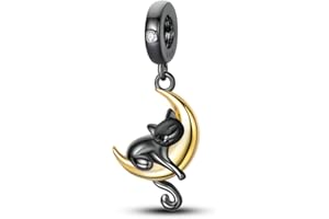 Hapour Ciondoli in Argento Sterling 925 per Bracciali Collane, Carino Moda Amore Cuore Ciondola Ciondoli Perline Regalo per Le Donne Lei