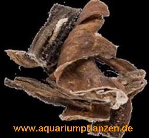 Preisvergleich Produktbild 3 kg Rinderpansen für Hunde, Futter, Hundefutter