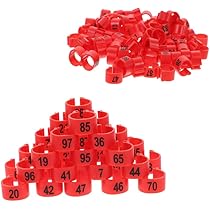 Anelli Per Gambe Di Pollo, Anelli Per Galline, Anelli Per Coscia Di Pollo, 80 Pezzi Anelli Per Piede Di Pollame, Per Pulcini Bantam Fringuello Colomba Piccioncino Quaglia, 8 Colori, 16mm