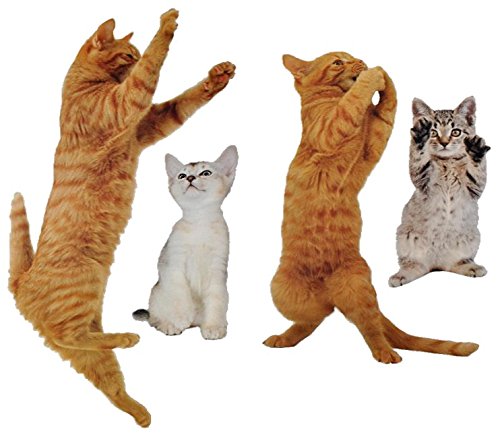 4 tlg. Set: XL Fensterbild / Sticker - " Katzen Tiere " - Aufkleber statisch haftend - Kätzchen Fensterbilder / Miezekatze Haustiere - statische Fenstersticker -Kätzchen Haustiere