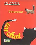 C'est comment... un chat