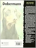 Image de Dobermann