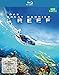 Produktbild Das Great Barrier Reef - Naturwunder der Superlative [Blu-ray]