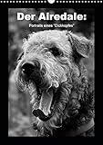 Der Airedale: Portraits eines