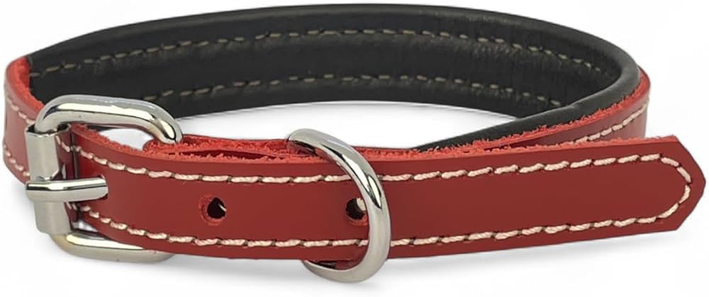 Canini Collar Rainbow Hakiki Deri Köpek Tasması – XXS Beden, Yumuşak İç Deri, Krom Kaplamalı Toka & D-Halka, 13 Farklı Renk Seçenekleri (Kırmızı)