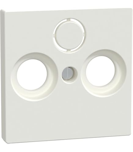 Merten Cache System M Blanc 461825 1 Pc(s) - Electronic France