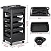 Popamazing Salon SPA Trolley Storage Cart Coloring Beauty Salon Hair Dryer Holder W/wheels