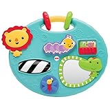 Fisher-Price Explore and Play Panel