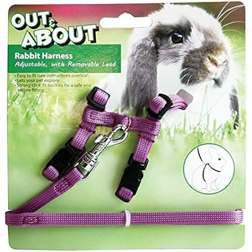 Amazon.co.uk Rabbit Collars, Leads & Harnesses / Small Animals Pet