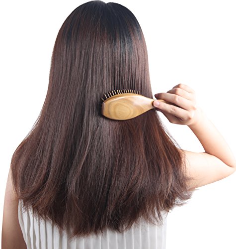 pureGLO Natürliche Grüne Sandelholz Haarbürste – Entwirren Massage Kopfhaut Keine Statische Haarkamm – Holz Borste Organischen Haarbürsten Abgefedert - 5