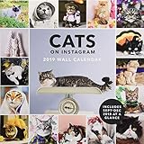 2019 Wall Calendar: Cats on Instagram by 