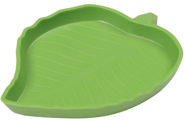 Sundautumn Bol Gamelle d'Eau pour Tortue Reptile Forme de Feuille (Taille S)