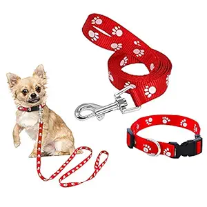 Jainsons Pet Products? Paw Print Dog Puppy Nylon Leash Collar Set Combo for Small Breed Dog, Puppy Leash Collar Set 20MM (Color May Vary)