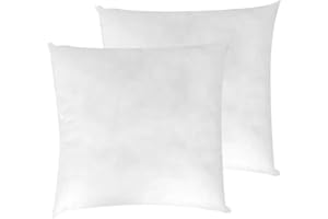 LNT France Coussins de Garnissage, 40 x 40 cm, Ultra Gonflant, Coussin Canapé, Coussin à Recouvrir, Rembourrage Coussins (Blanc) - Lot de 2 Coussins