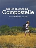 Sur les Chemins de Compostelle (Compil)