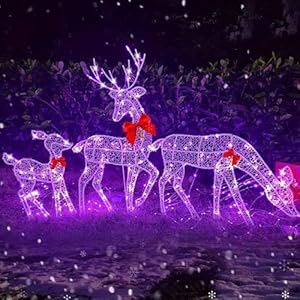 KKPLZZ - Set familiar de