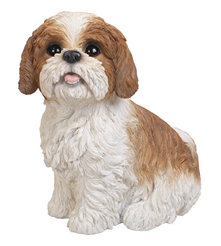 Vivid Arts XRL-SZ12-B Shih Tzu Hund, braun-weiß, sitzend, Kunstharz Gartendeko