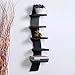 Driftingwood Wall Shelf Rack Curve Shape 5 Tier Wall Shelves - Black Laminated RS.1199.00