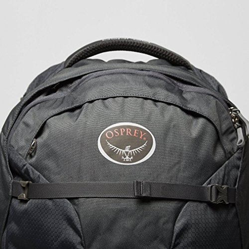 Preisvergleich Produktbild Osprey Farpoint 40 Rucksack, Grau, Einheitsgröße