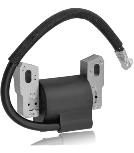 Ewillownm Compatible Avec Bobine De Module D'allumage Armature-Magneto