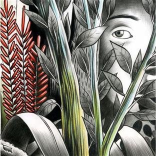 couverture de : Vers les lueurs