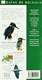 Image de Aves : guía de bolsillo (GUIAS DEL NATURALISTA-AVES)