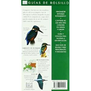 Aves : guía de bolsillo (GUIAS DEL NATURALISTA-AVES)