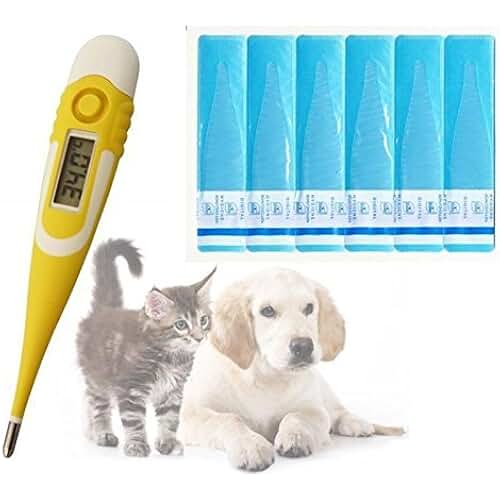 Suchergebnis auf Amazon.de für fieberthermometer für katzen