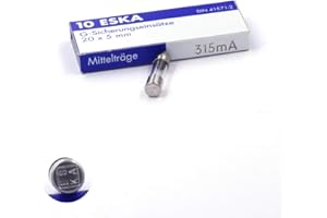 ESKA 10x Fusible moyen temporisé (M) en verre 315mA / 250VAC 5x20mm