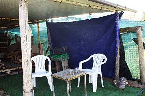 FERPRO Plane mit Ösen Wasserdicht MT. 4 x 6 - 11