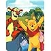 Produktbild Disney Winnie the Pooh Hunny Dayz Tigger, Eeyore, Pigglet 60x80 Twin Mink Style Blanket by Disney