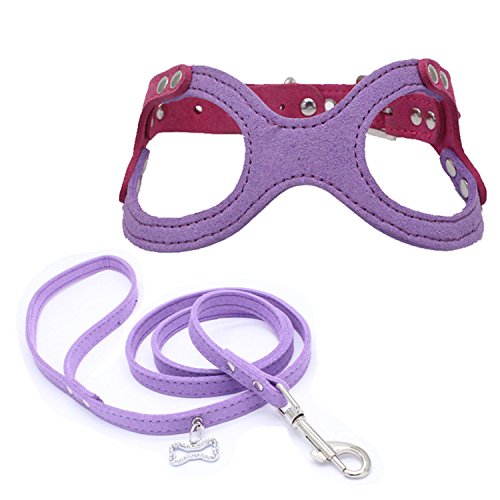 Preisvergleich Produktbild Dogs Kingdom Verstellbare Schnalle Closure Belt Hundegeschirr und Leine Hund Schlüsselanhängerform Brustgurt und Knochen tag Leine Set