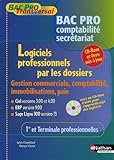 Image de Logiciels professionnels par les dossiers 1e et Tle Bac pro comptabilité secrétariat : Gestion commerciale, comptabilité, immobilisations, paie Cie