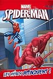 Spider-Man : Les héros attaquent !