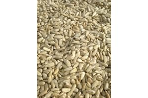 BEEWARM 10kg SACK SUNFLOWER HEARTS - Bird Food