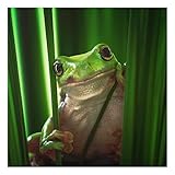 Cuadro de cristal - Rana Alegre - Formato Cuadrado 1:1 mural acristalado mural de pared...