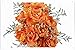Produktbild Metall Poster Blechschilderplatte Blechschild Plakat Flower Tin Sign Roses Flowers Bouquet Orange Branches 40913 Retro Weinlese Kunstdrucke by hamgaacaan (20x30cm)