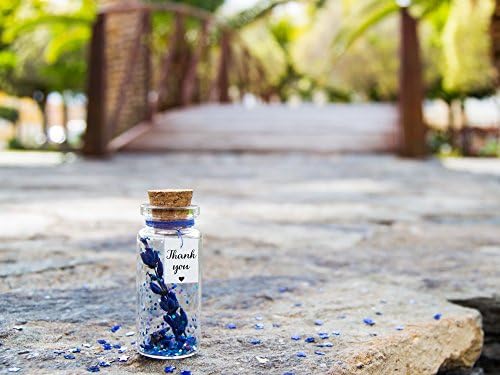 Thank you. Lavander. Tiny message in a bottle. Miniatures. Personalised Gift. Funny Card. Special greeting card.