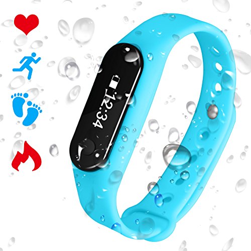 Preisvergleich Produktbild Padgene Fitnessarmband C6 Pulsuhr Aktivitätstracker intelligante tragbare C6 Armbanduhr mit Herzfrequenzüberwachung, Schrittzähler, Kalorienverbrennung, Schlafmonitor unterstützt Handy mit Android 4.4 und IOS 7.0+ [2016 Neues Geschenk]