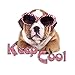 Produktbild Wandsticker Sticker Wandaufkleber für Wohnzimmer Hund Sonnebrille Keep Cool (61x57cm)