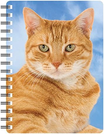 Ginger Tabby Cat gift - Handbag/Pocket size notebook approx. 6" x 4". Quality Spiral bound Notebook with stunning 3D front cover