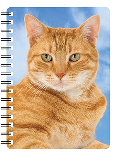 Ginger Tabby Cat gift - Handbag/Pocket size notebook approx. 6" x 4". Quality Spiral bound Notebook with stunning 3D front cover
