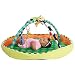 Sassy Pop Developmental Playmat