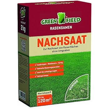 Greenfield 62521 Nachsaat Rasensaat Rasensamen 2 kg für ca. 120 qm